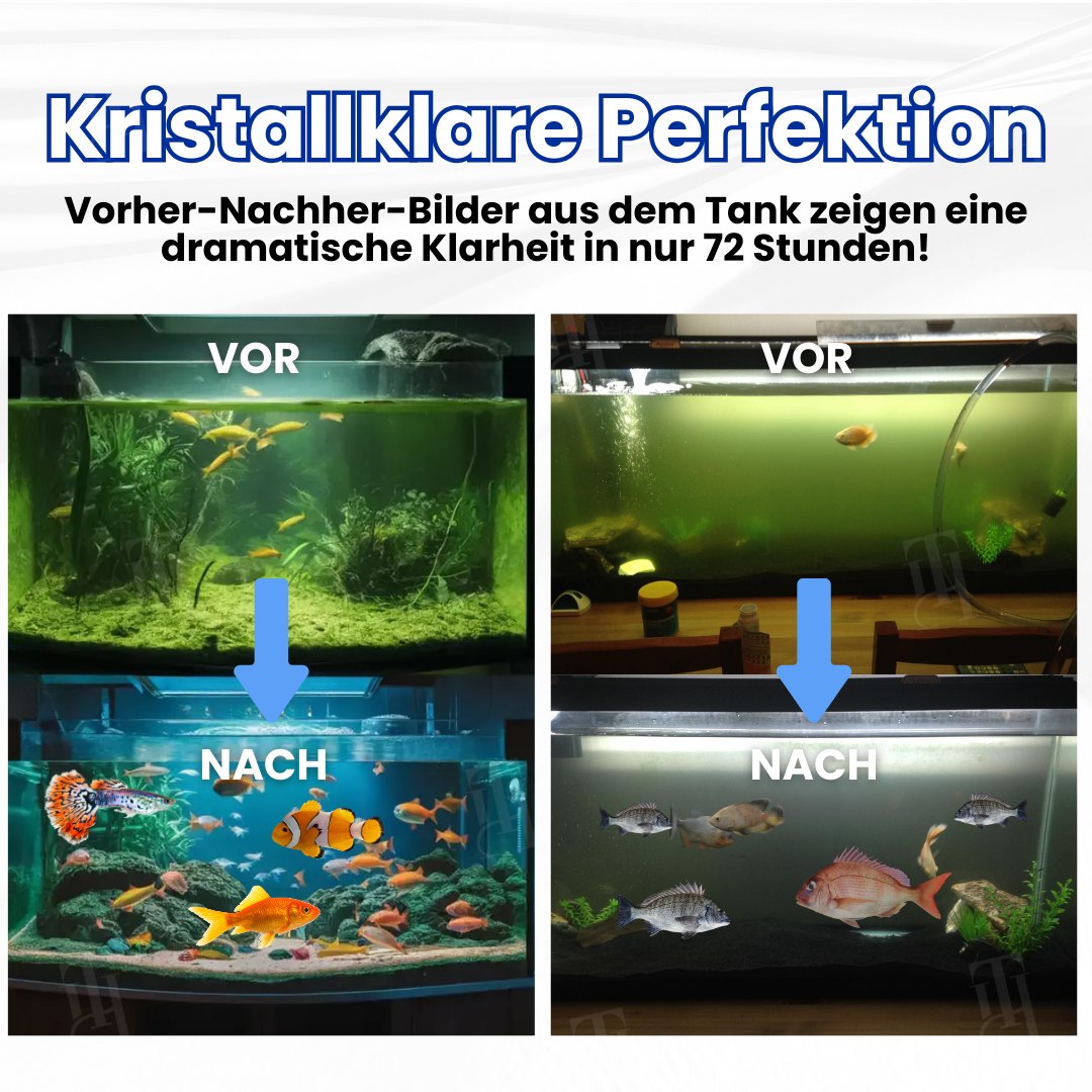 🌊AEXZR® Max-Power Aquarienreinigungstablette –🐠Biotech gegen Chloramine🚰