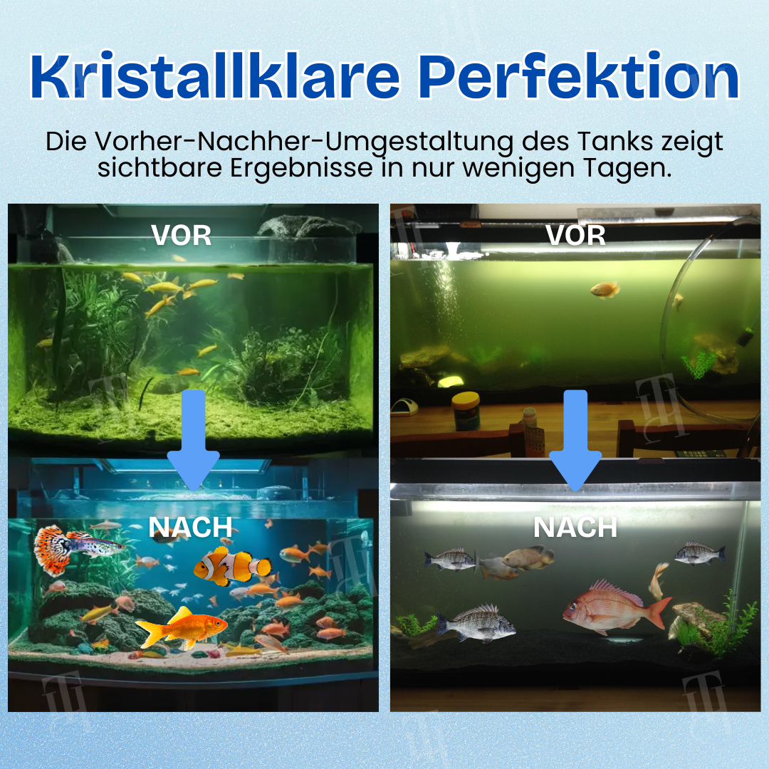 🛡️AEXZR® Aquarien Aqua-Guardian Mischung🐟 Sicher für alle Fische – stärkt Immunsystem💧