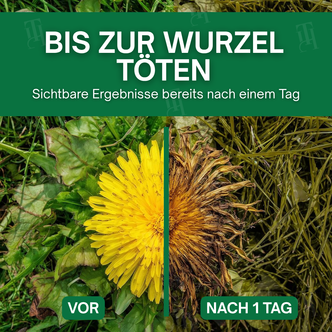 🌿AEXZR® 3 in 1 Herbizid Maximaler Leistung - 💧sicher für Haustiere & Kinder, biologisch abbaubar🛡️