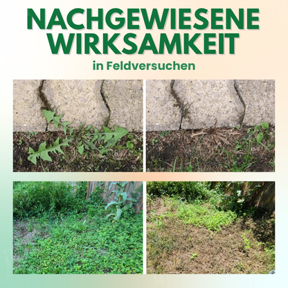 🌿AEXZR® 5 in 1 Herbizid Maximalstärke - ⏱️Wirkt in 6 Std., gegen resistentes Unkraut, 5-fach Formel🧪