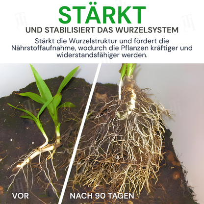 🏆AEXZR® Max-Power Fulvosäuren Düngersticks  – ✅90 Tage Power durch Fulvosäuren & Enzyme🌾