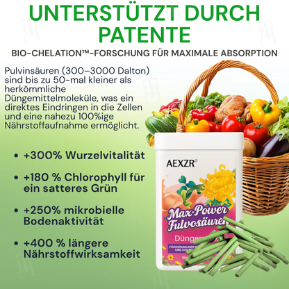🏆AEXZR® Max-Power Fulvosäuren Düngersticks  – ✅90 Tage Power durch Fulvosäuren & Enzyme🌾