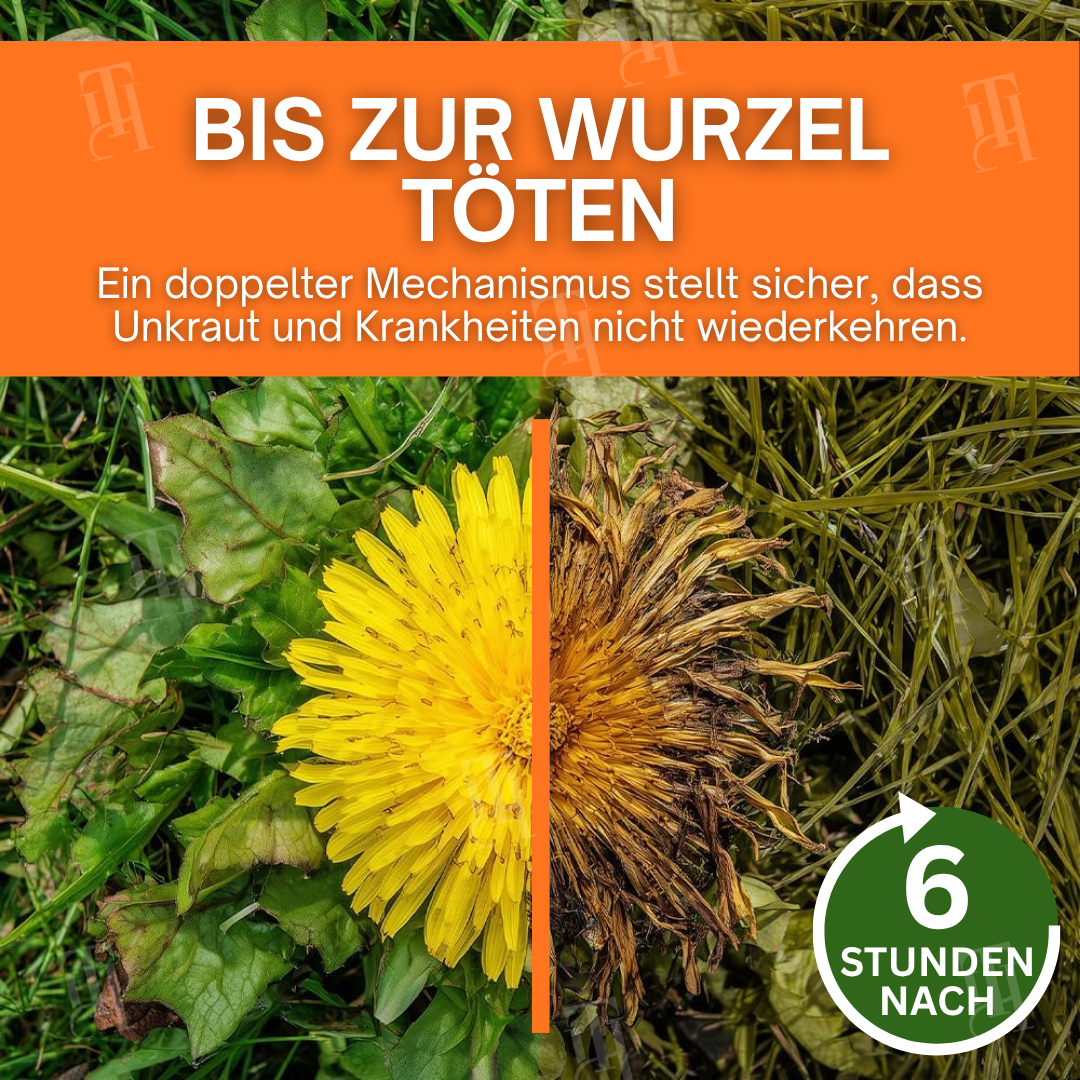 🌿AEXZR® 2-in-1 Max Leistung Herbizid – ⏱️Wirkt in 6 Stunden, ohne Glyphosat, sicher & effektiv🛡️