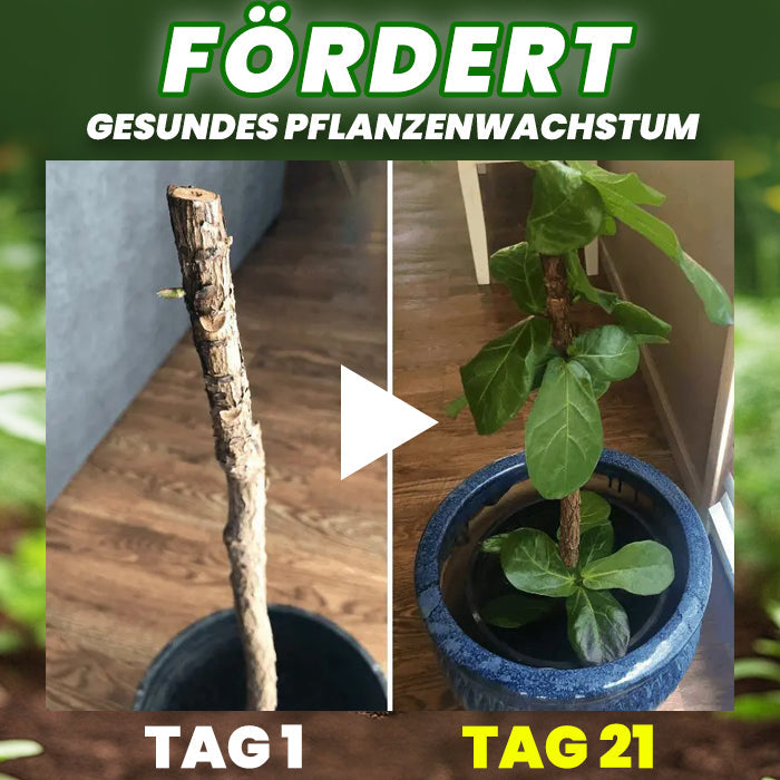 🌱RZXEA® Organische Düngertabletten 🌿60 Tage Langzeitwirkung, rettet schwache Pflanzen🔬