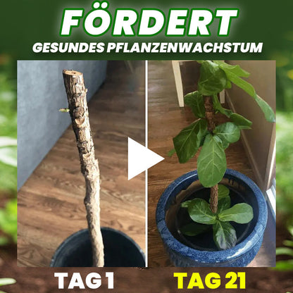🌱RZXEA® Organische Düngertabletten 🌿60 Tage Langzeitwirkung, rettet schwache Pflanzen🔬