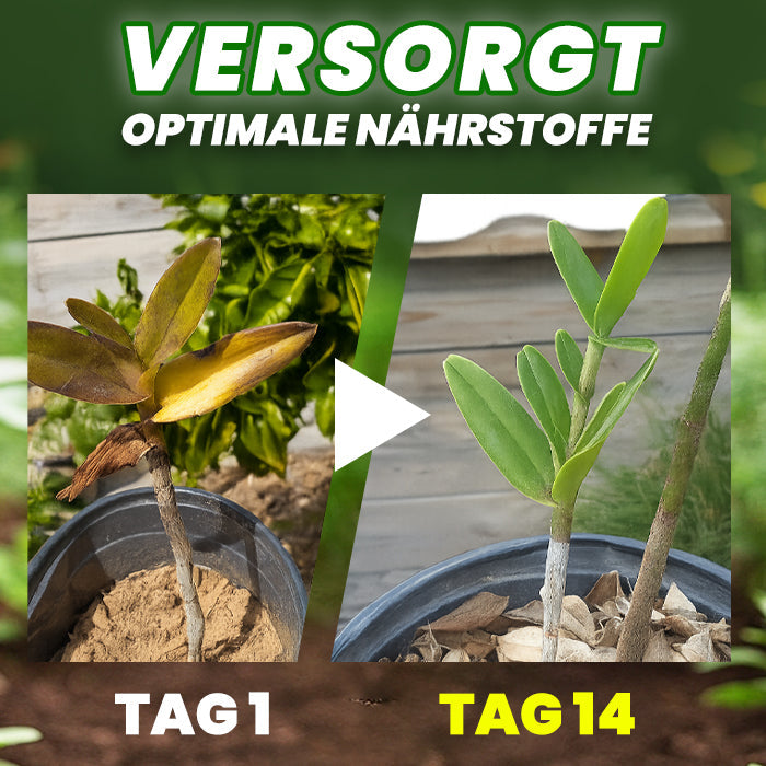 🌱RZXEA® Organische Düngertabletten 🌿60 Tage Langzeitwirkung, rettet schwache Pflanzen🔬