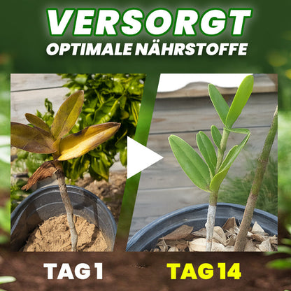 🌱RZXEA® Organische Düngertabletten 🌿60 Tage Langzeitwirkung, rettet schwache Pflanzen🔬